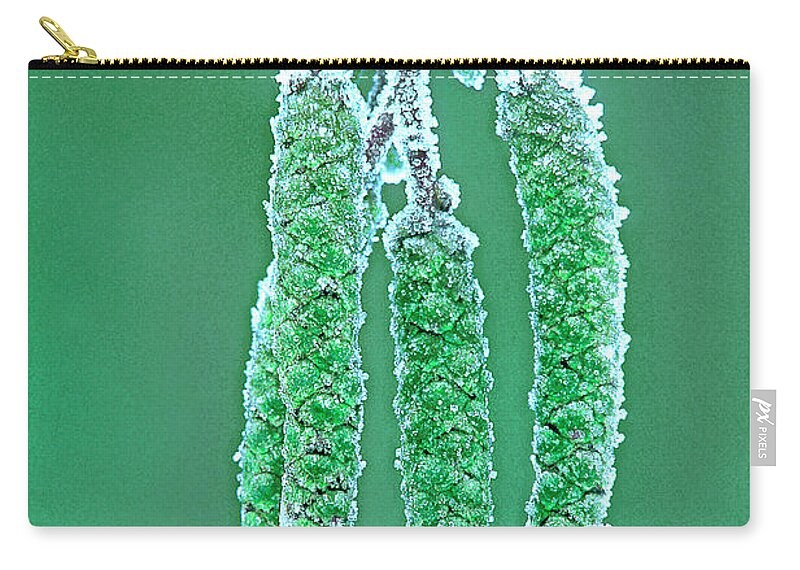 Dave Welling Zip Pouch featuring the photograph Oak Tree Bud With Hoarfrost Yosemite National Park by Dave Welling
