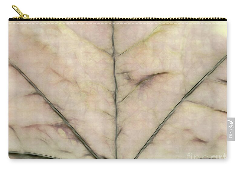 Beige Zip Pouch featuring the photograph Oatmeal by Elaine Teague