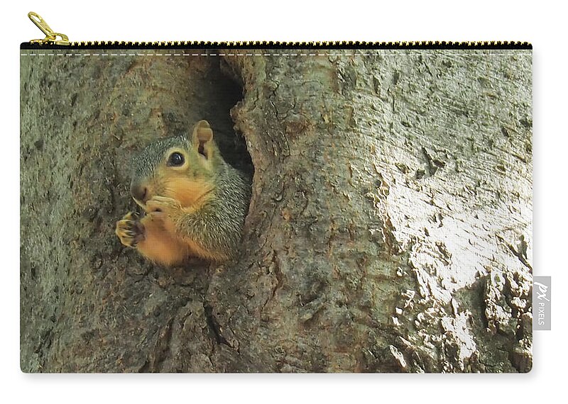 Squirrel Zip Pouch featuring the photograph Oh my Who Are You by C Winslow Shafer
