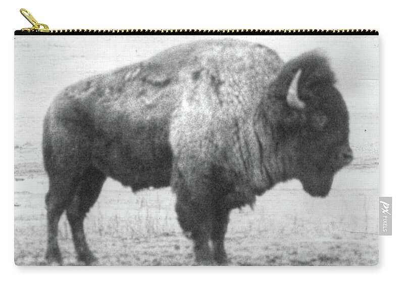 Bison Zip Pouch featuring the photograph Old Boss by Jim Sauchyn
