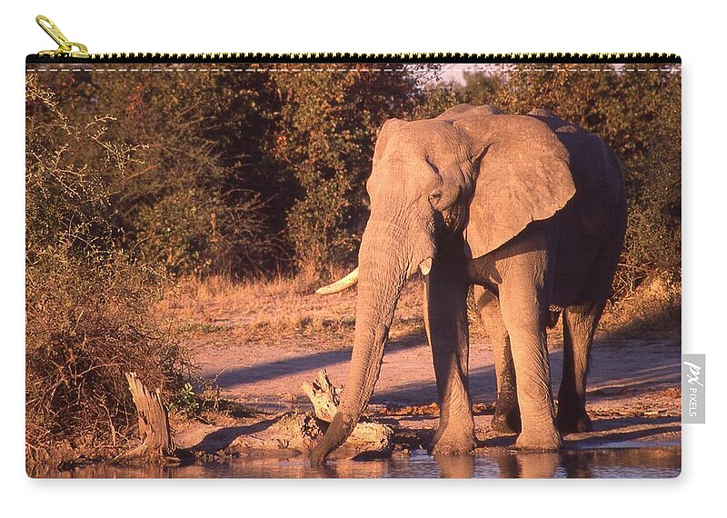 Africa Zip Pouch featuring the photograph Old Elephant Enjoying a Drink by Russel Considine