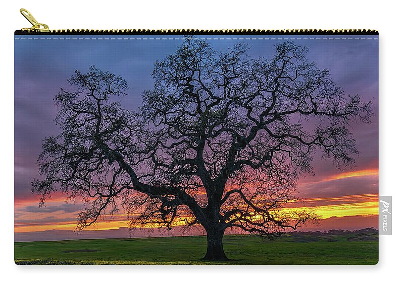 Sunset Zip Pouch featuring the photograph Old Oak on North Table Mountain by Jack Peterson
