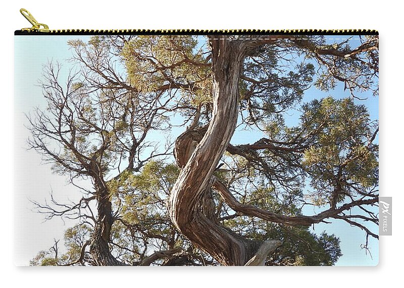 Juniper Zip Pouch featuring the photograph Old Twisted Juniper 4 by Amanda R Wright