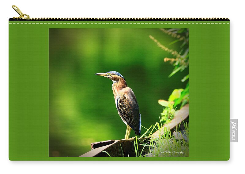 Green Heron Zip Pouch featuring the photograph On a Mission by Mary Walchuck