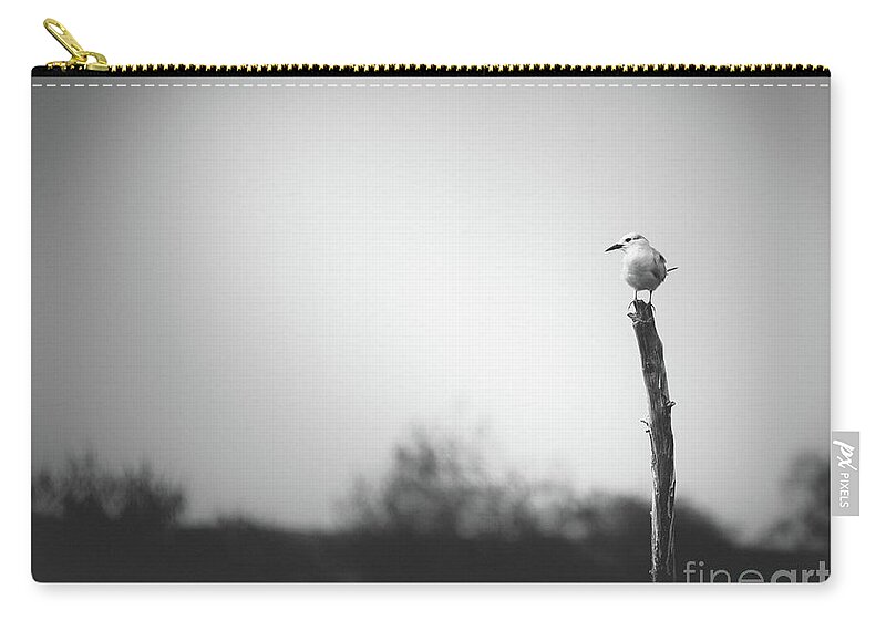 #look # Eyes #birds #feathers #eyes #color #colour #blackandwhite #b&w Zip Pouch featuring the photograph On a Stick by Dheeraj Mutha