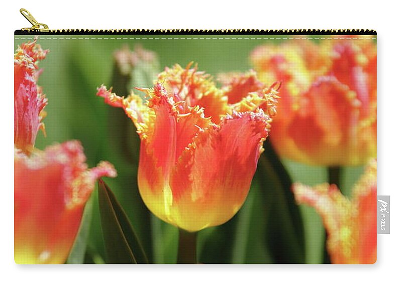 Nature Zip Pouch featuring the photograph On Fire by Lens Art Photography By Larry Trager