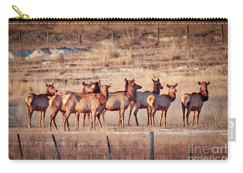 Elk Zip Pouch featuring the photograph On Guard By Comittee by Thomas Nay
