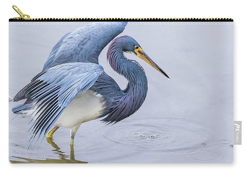 Little Blue Heron Zip Pouch featuring the photograph On The Hunt by Jim Miller