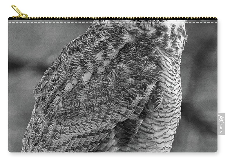 Great Horned Owl Zip Pouch featuring the photograph One Eyed Owl Black and White by Steve Templeton