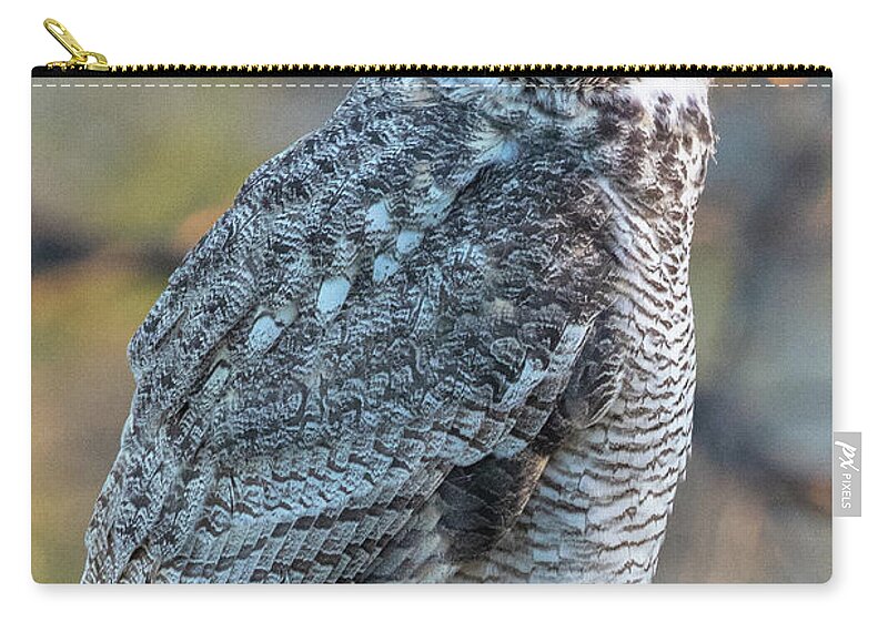 Great Horned Owl Zip Pouch featuring the photograph One Eyed Owl by Steve Templeton