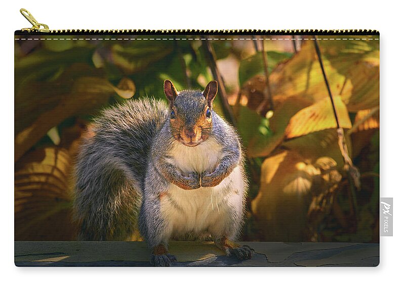 One Gray Squirrel Zip Pouch featuring the photograph One Gray Squirrel by Bob Orsillo