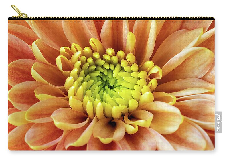 Chrysanthemum Zip Pouch featuring the photograph Orange Chrysanthemum Macro by Tanya C Smith