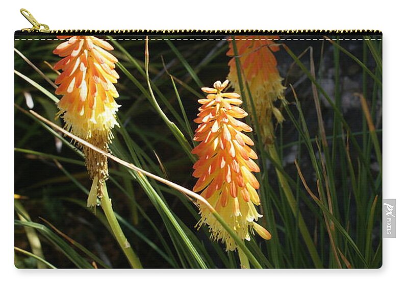  Zip Pouch featuring the photograph Orange Delight by Heather E Harman