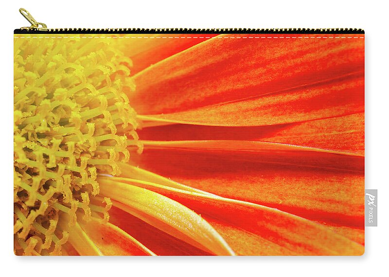Autumn Carry-all Pouch featuring the photograph Orange flower by Viktor Wallon-Hars