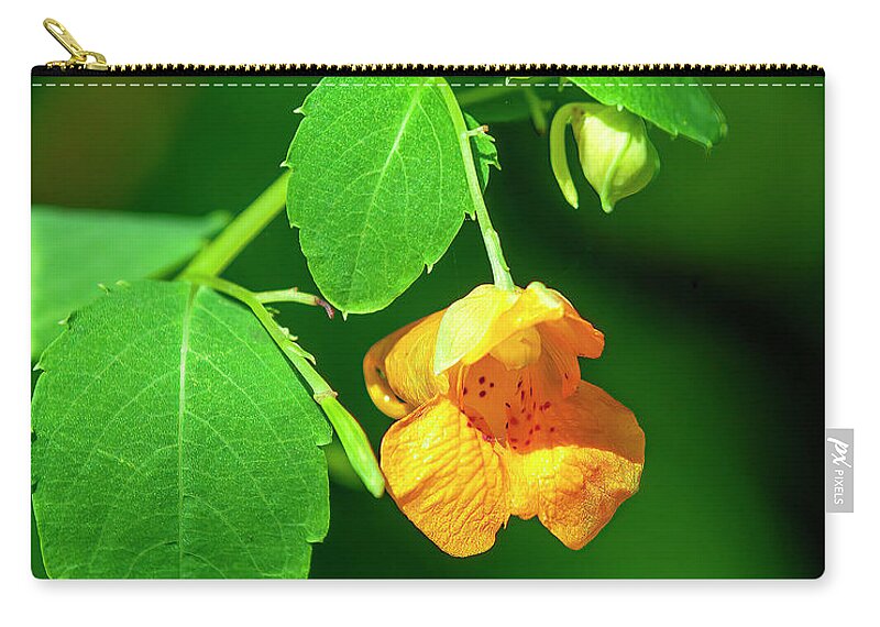Balsam Family Zip Pouch featuring the photograph Orange Jewelweed DFL1221 by Gerry Gantt