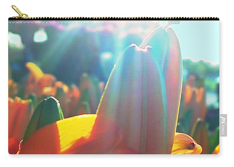 Orange Lily Closeup Zip Pouch featuring the digital art Orange Lily Sun Splash by Pamela Smale Williams