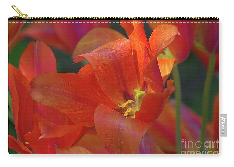 Flowers Zip Pouch featuring the photograph Orange Tulips by Diana Mary Sharpton
