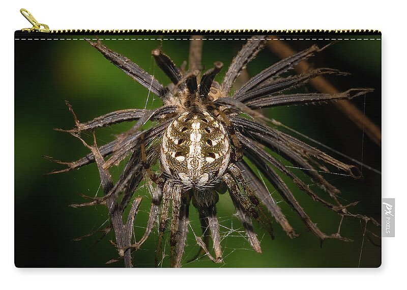 Spider Zip Pouch featuring the photograph Orb Weaver Spider in Disguise by Mark Andrew Thomas