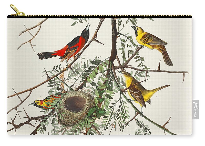 Orchard Oriole Zip Pouch featuring the mixed media Orchard Oriole. John James Audubon by World Art Collective