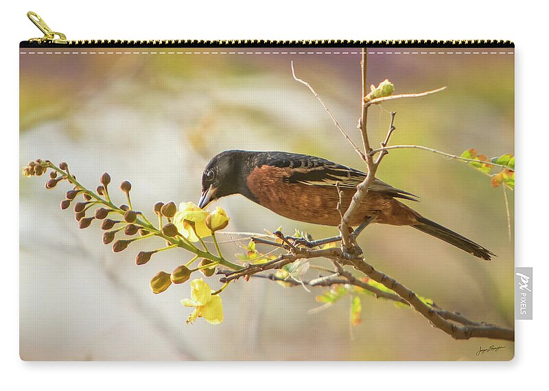 Orchard Oriole Zip Pouch featuring the photograph Orchard Oriole by Jurgen Lorenzen