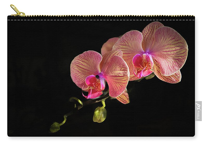 Orchid Zip Pouch featuring the photograph Orchid Bloom by Richard Goldman