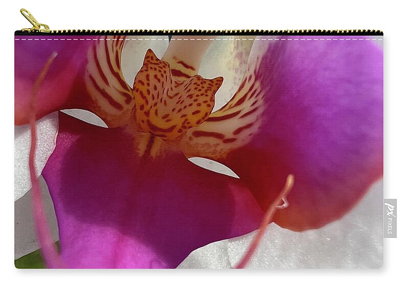 Orchid Zip Pouch featuring the photograph Orchid Center Close Up by Karen Zuk Rosenblatt