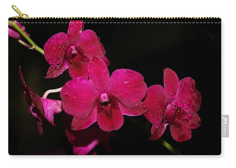 Orchid Carry-all Pouch featuring the photograph Orchid and Morning Due by Mingming Jiang