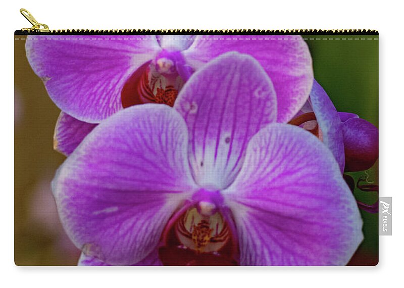 Orchid Zip Pouch featuring the photograph Orchids in Pairs by Margaret Zabor
