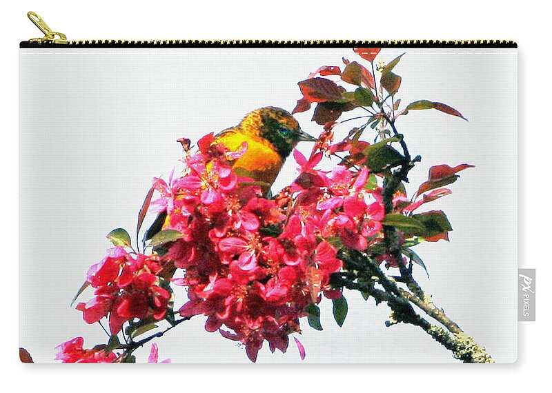 Oriole Zip Pouch featuring the digital art Oriole by Cliff Wilson