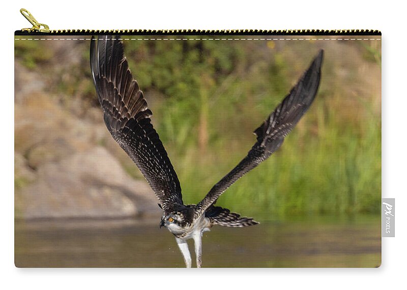 Osprey Zip Pouch featuring the photograph Osprey and Prize from the River by Steven Krull