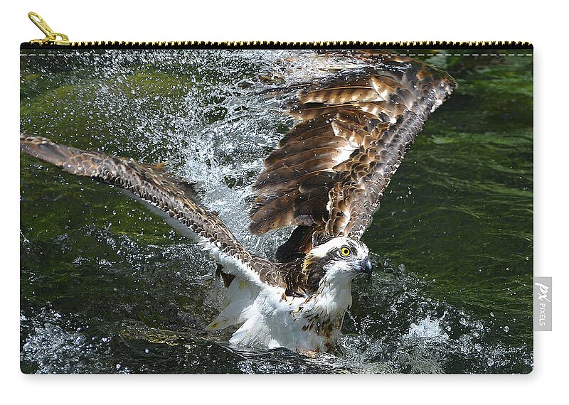 Osprey Zip Pouch featuring the photograph Osprey Rising by Stuart Harrison