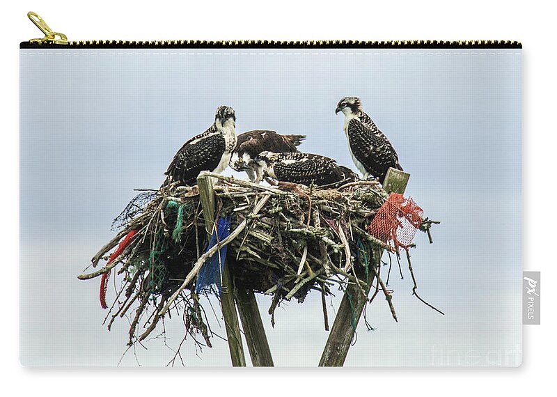 Natanson Zip Pouch featuring the photograph Osprey Take Out Dining by Steven Natanson