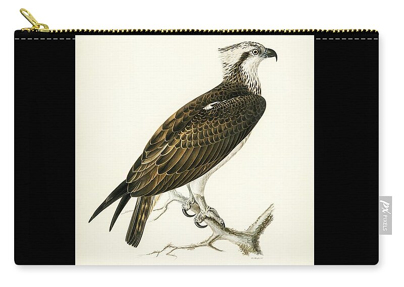 Osprey Zip Pouch featuring the mixed media Osprey by World Art Collective
