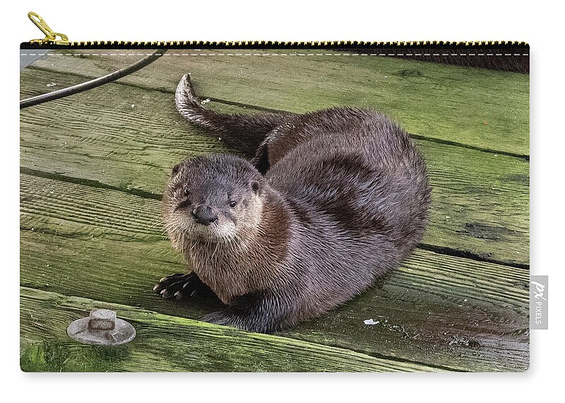 Otter Carry-all Pouch featuring the photograph Otter takes a break by Stephen Sloan
