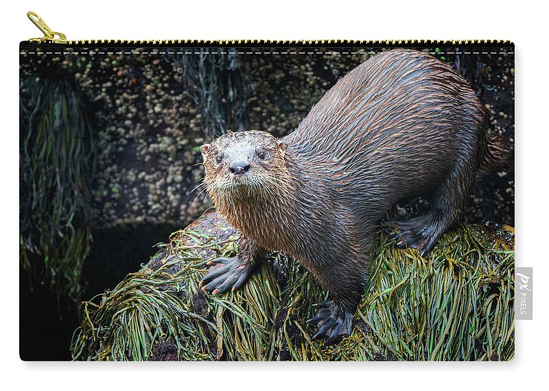 Otter Zip Pouch featuring the photograph Otterly Adorable by Rick Berk