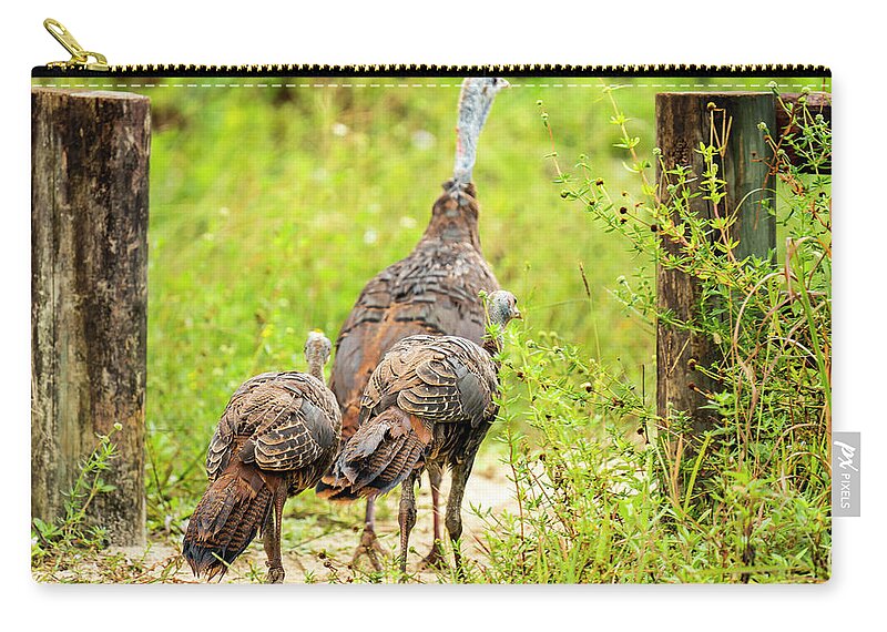 Riverbend Park Zip Pouch featuring the photograph Out for a Stroll by Todd Tucker