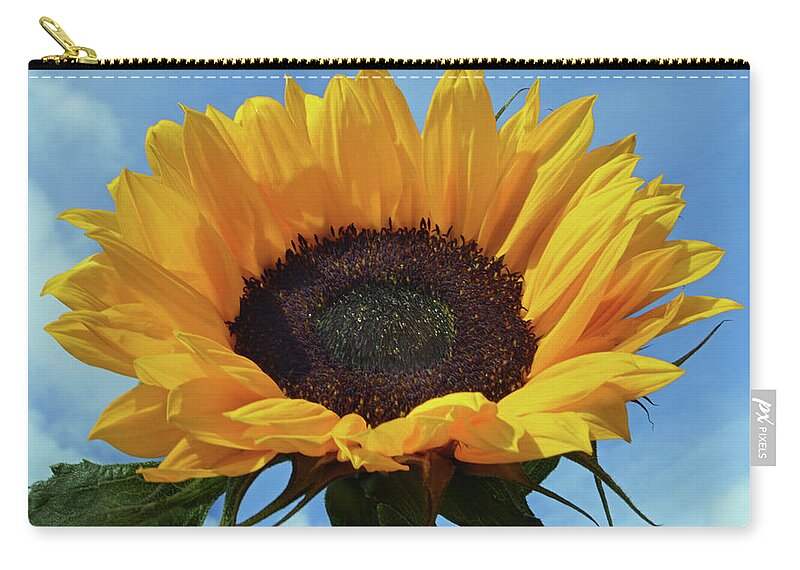 Sunflower Zip Pouch featuring the photograph Out In The Sunshine. by Terence Davis