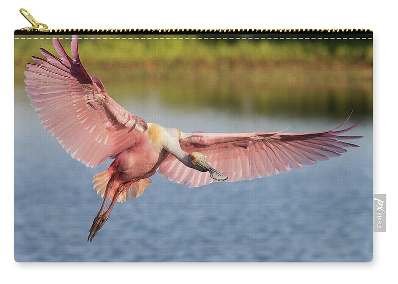 Roseate Spoonbill Zip Pouch featuring the photograph Outstretched by RD Allen
