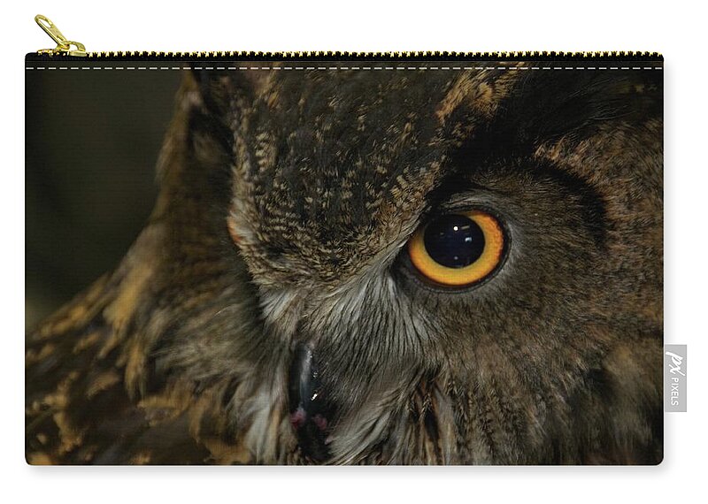 Animal Carry-all Pouch featuring the photograph Owl Be Seeing You by Melissa Southern