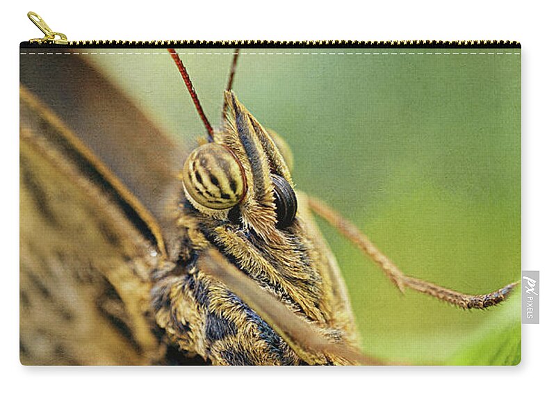 Closeup Zip Pouch featuring the photograph Owl Butterfly Close-Up by Maria Angelica Maira