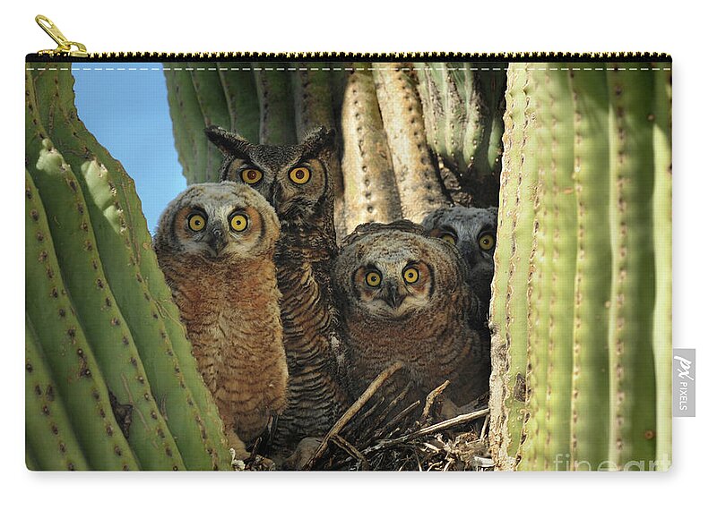 Great Horned Zip Pouch featuring the photograph Owl Family in Saguaro Nest by Joanne West
