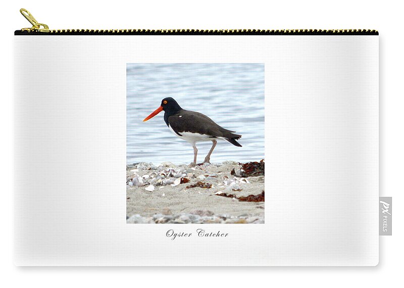 Bird Zip Pouch featuring the photograph Oyster Catcher by Dianne Morgado