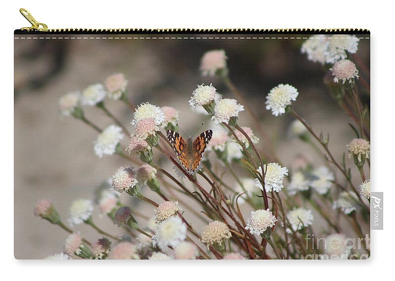 Wedding Zip Pouch featuring the photograph Painted Lady on Wild Pincushion Flower in Coachella Valley Wildlife Preserve by Colleen Cornelius