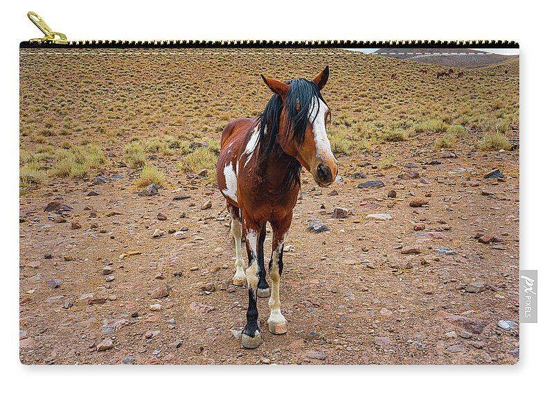 Horse Carry-all Pouch featuring the photograph Painted Nevada Mustang by Ron Long Ltd Photography