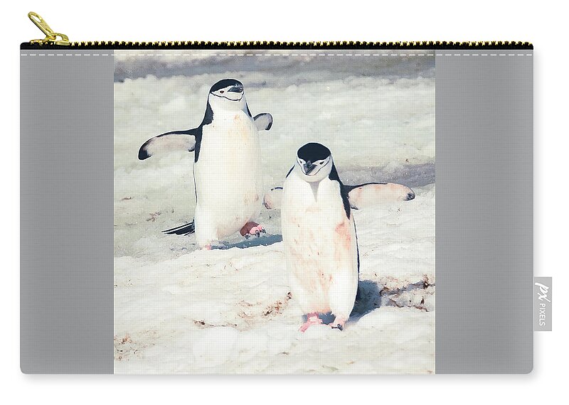 03feb20 Zip Pouch featuring the photograph Palaver Point Welcoming Party Pair by Jeff at JSJ Photography
