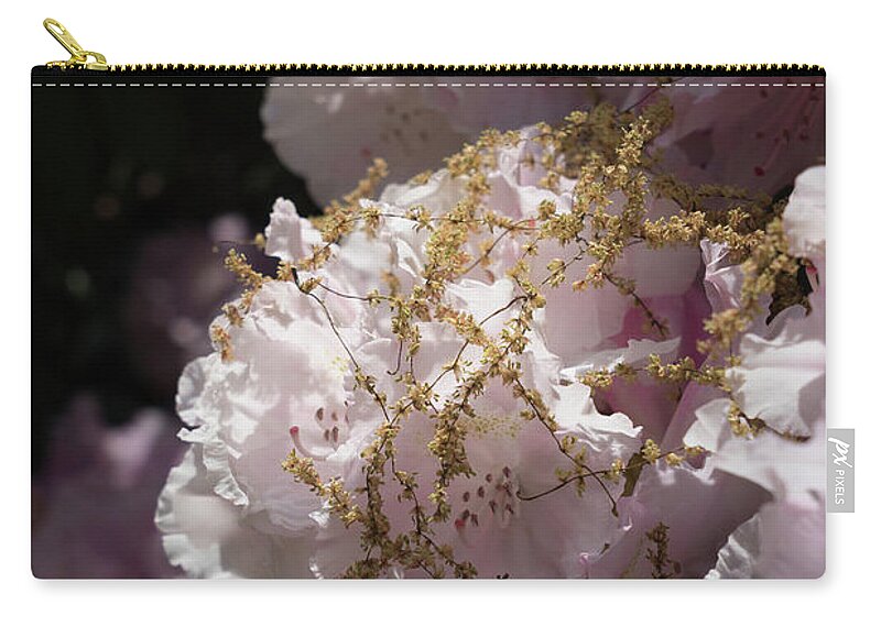 Rhododendron Zip Pouch featuring the photograph Pale pink rhododendron flowers 2 by Adriana Mueller