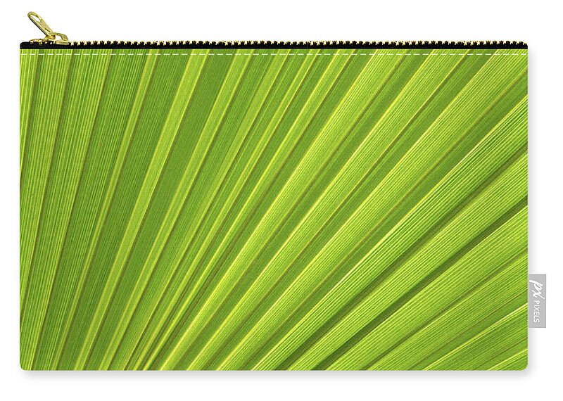 Palm Leaf Zip Pouch featuring the photograph Palm leaf and Mediterranean sunlight 1 by Adriana Mueller