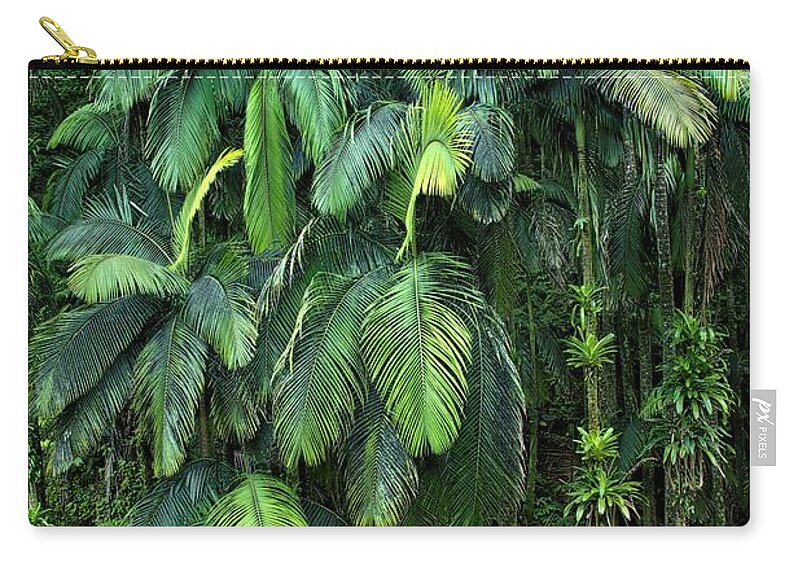 Palm Trees Zip Pouch featuring the photograph Palm Tree Forest Hawai'i Island by Heidi Fickinger