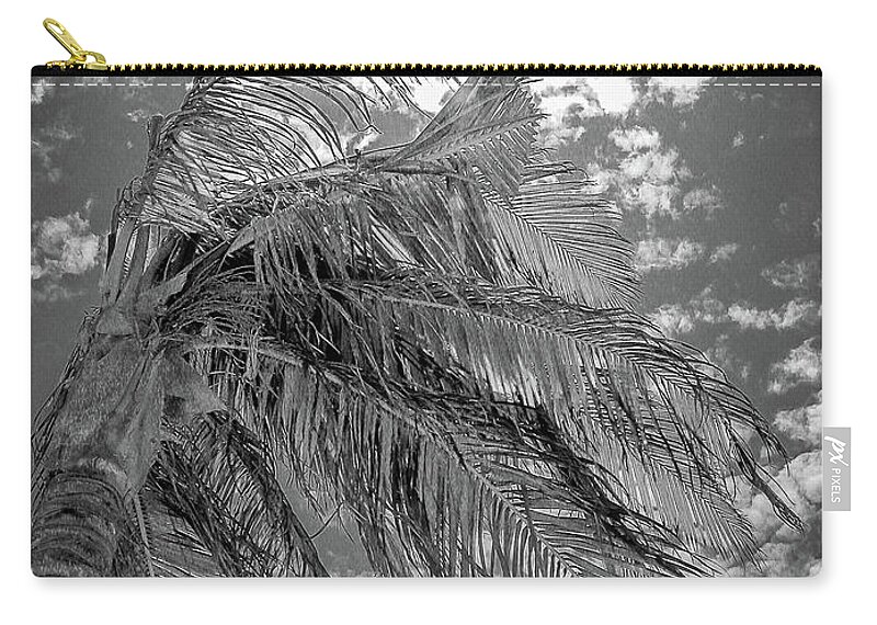 Mexico Carry-all Pouch featuring the photograph Palm Tree - Mexico by Frank Mari