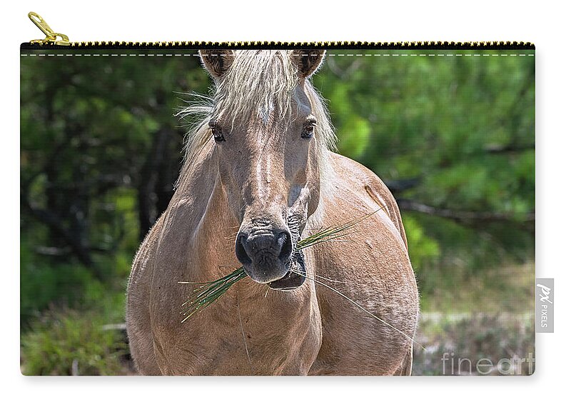 Horse Zip Pouch featuring the photograph Palomino horse by Rehna George